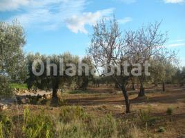 Rustic land, 17240 m²