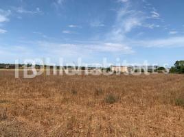 Rustic land, 358 m², Manacor Centro