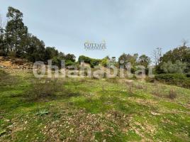  (), 550 m², Zona