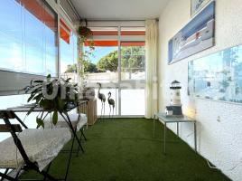 Study, 51 m², Paseo Marítim