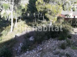 Sòl rústic, 0 m², La Bisbal del Penedès