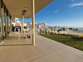 Pis, 312 m², seminou