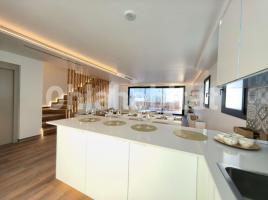 Casa (unifamiliar aislada), 392 m², seminuevo, Calle de Maria Aurèlia Capmany
