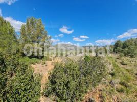 Rustic land, 0 m²