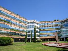 Alquiler oficina, 330.43 m²