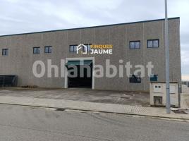 Industrial, 1300 m², Zona