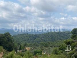 Rustic land, 22121 m², Zona