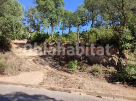 Rustic land, 600 m², Avenida de la Senyera, 88