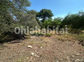 Suelo rústico, 758 m², Vía Gran Via de Fontpineda, 59