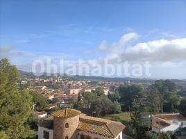 Apartamento, 69 m², Avenida del Mas Ambrós