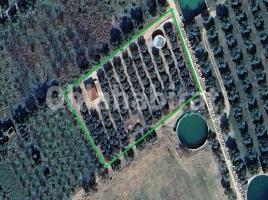 Sòl rústic, 3410 m², Partida COLL D'EN BOCH (P24 P3)