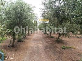 Sòl rústic, 30000 m², Zona