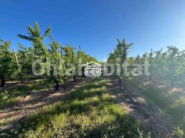 Sòl rústic, 111000 m²